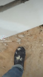 8.4K views · 59 reactions | #نسأل الله التوفيق والسداد في القول...