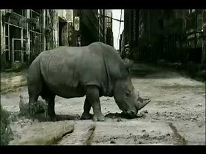 Life After People Music Video (reversed)