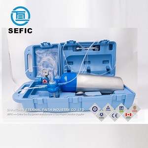 [Hot Item] Best Quality Cheap 2L Medical Oxygen Tank Portable