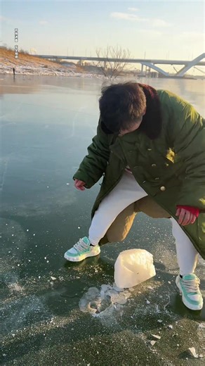 Exploring the World of Dragon Ball Z Collectibles