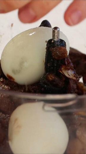 Chopped chicken liver so good your family will ask for it again #jewish #passover