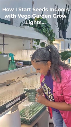 This 3D photo gives you a closer look at my indoor grow‑light setup using the Vego Garden Grow Light Series. The multi‑tier stands, adjustable lighting, and seed trays create a simple, efficient space for starting plants indoors. I check on this station daily—light levels, moisture, and early growth—because consistency is what keeps seedlings strong. If you’re learning how to build an indoor grow station, this setup shows how a compact corner can support healthy, steady growth all season long. C