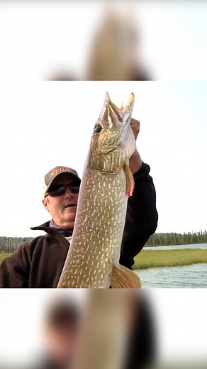 1.8K views · 13 reactions | Another BIG fish  On the Rooster Tail Reel in the Outdoors with Joe Thomas | Yakima Bait Company | Facebook