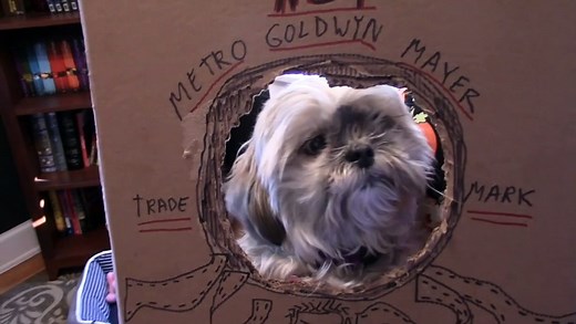 Sweded Film Festival for Creative Re-Creations | movie | 2021 | Official Trailer