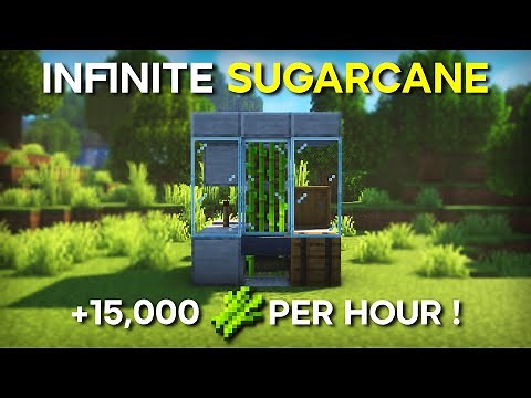 Minecraft's BEST Sugar Cane Farm Bedrock 1.19 - 15,000+ PER HOUR ! ( No Zero Tick )
