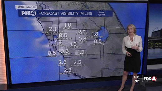 Isolated shower, patchy fog possible