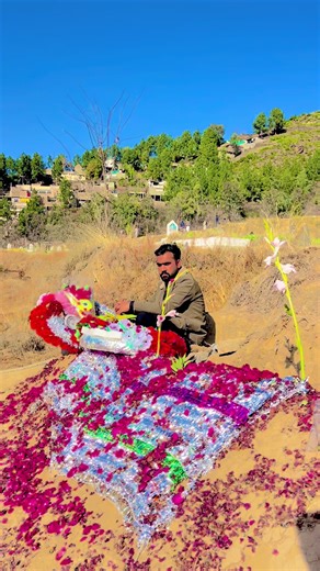 clickclips12 (@clickclips12)’s videos with original sound - Sajad Shah