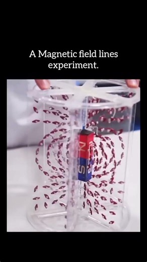 A Magnetic field lines experiment. 😱😱 #how #scienceexperiment #shortsfeed