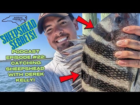 Inshore Sheepshead Fishing Secrets w/ Derek Kelly — Master the Bite & the Bait Brilliant Fishing NC
