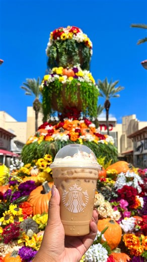Fall shopping a Pumpkin Spice Frappuccino from Starbucks Destin Commons = the perfect seasonal combo. 🍂😍 Have you grabbed yours yet? | Destin Commons