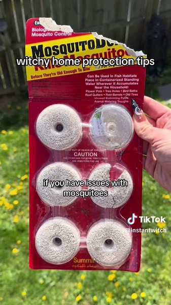 Replying to @graymel76 witchy home protection tips for beginners. easy ways to protect your yard outdoor space spiritually. try these tips to connect with nature and keep your home protected. #beginnerwitchtips #witchtok #witchhouse #beginnerwitch101 #babywitchtips #firsttimehomebuyer #protectionspell #fengshuitips #witchytips