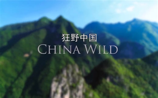 纪录片《狂野中国》 全5集 【中英双字】1080P超清