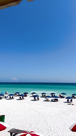 5K views · 602 reactions | ☀️️We’re beach bummin today! . #thebackporch #destin #destinfl #destinflorida #todoindestin #visitfl #seafood #sunset #beachfront #beachin #gulfcoast #emeraldcoast #gulfofmexico #destineats #beachdays #floridapanhandle #gulfcoastrestaurants #nature #floridavibes #beachlife #beachvibes #coastal #coastalliving #beachside #summer #sundayfunday | The Back Porch in Destin, Florida | Facebook