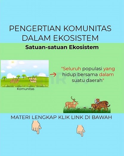 UNDERSTANDING COMMUNITY IN AN ECOSYSTEM
