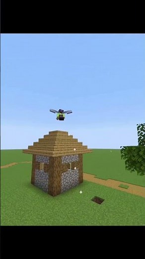 How to Move Villagers Easily in Minecraft (Fast & Simple Method)