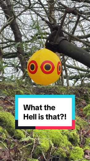 I’m out fishing today, it’s creepy it’s foggy. But what the hell is this ?! #fishing #creepy #witchcraft #foggy #feederfishing