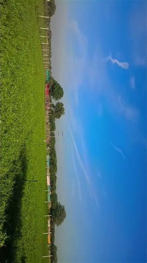 comment mein batao yah kaun si fasal hai