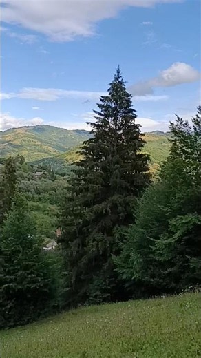 Breathtaking views 🏔️✨ #Carpathians #nature #travel #scenery #highlands
