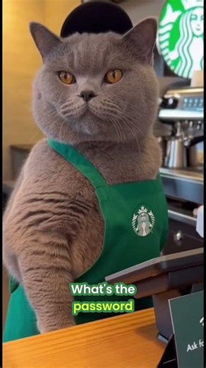 Cat Barista Asks for Password - Customer Says "MIAUH" and Gets In! 🐱☕🔑😹