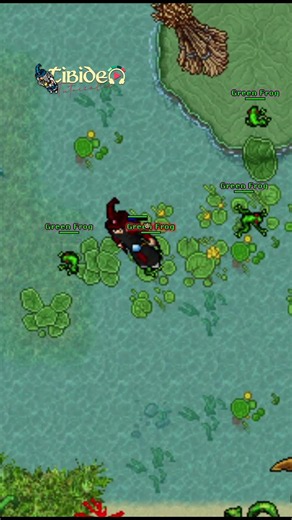 TIBIA / ECHO WARDEN "TEST SERVER"
