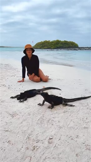 Galapagos such a hidden gem! The animals, the adventures, it’s truly a one of a kind place. #Galapagos #diving #galapagosislands #adventure | Missangievilla