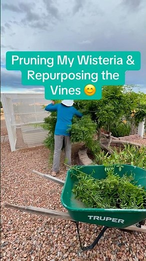 #structuralpruning #gardeninginspiration #gardens #repurposing #wildflowerartbykari