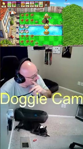 Don't Pea In The Pool