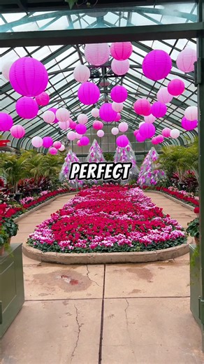 Discover the Floral Showhouse: A Valentine's Day Gem
