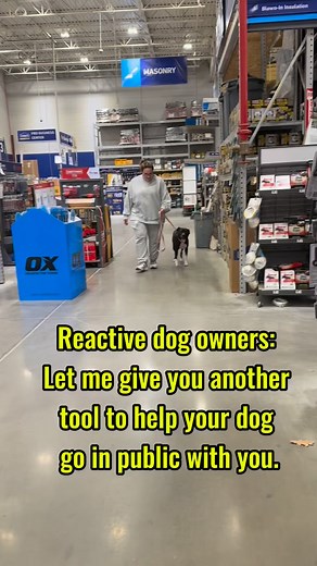 3 comments | Reactivity is a something that becomes skillfully...