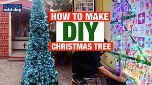 7.6K views · 92 reactions | Why buy a tree when you can make your...