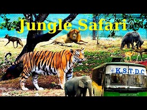 Bannerghatta Jungle Safari: A Thrilling Wildlife Adventure in Bangalore