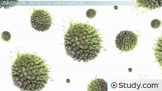 Addiction vs. Habit | Impulsive, Obsessive, & Compulsive Behavior