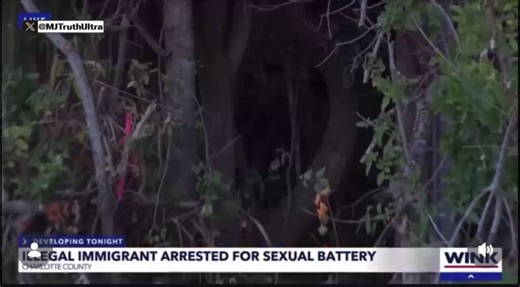 Oh my God.. This is horrific 💔🚨 Illegal Alien Savagely Raped a 13-Year-Old Boy in the Woods While He Played Hide-and-Seek with his friends in Charlotte County, FloridaSamuel Cobos Carmona was:• deported August 2021• snuck back in 2022• caught in Sarasota FL, released due to Biden federal catch and release policies There is only one solution to deal with him… only one. ☝️