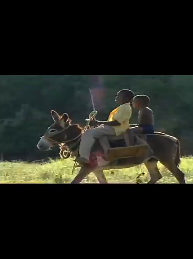 JamaicaNcut (@jamaicancut)’s videos with original sound - JamaicaNcut