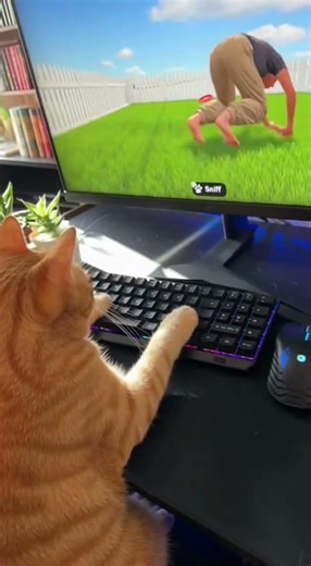 Cat playing Human Simulator #cats #gaming #humansimulator #funnycats #pcgaming #memes #shorts