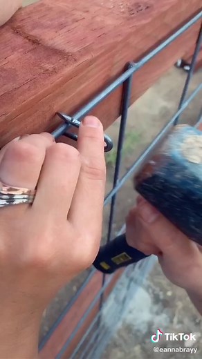 Fencing for the Goats Pen 🐐🐐#maplewoodworking #spoiledgoats #totesmygoats #goatpalace #zoo #womanbuilders #woodworkers #homeinprovement #lgtbq #fyp