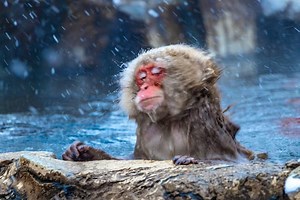 3 Japanese Baths That Will Change Your Life - Bathtubber