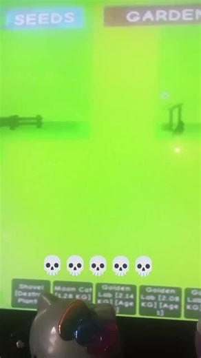 stud (@sus_mangopool)’s videos with original sound - JEO_JELLO - JEO_JELLO [on hiatus]