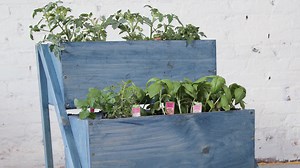 225K views | Rosa Armstrong shows you how to build an herb planter box (with built-in tool storage!!!!!) that's small space- and kid-friendly. | Blue Sky | Facebook