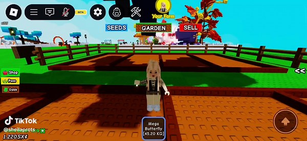 Trading Huge Butterfly for Raccoon: Epic Exchange