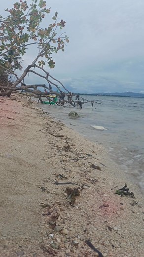 Murahag fast craft oinkie oy | Mga Kabisaya