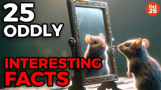 25 Oddly Interesting Facts That Will Make You Wonder