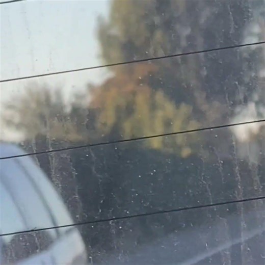 CHP Spotted and New Tahoe (Recorded Nov. & Feb) | 2025-26