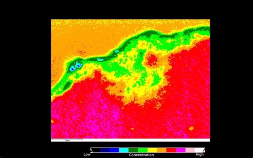 [电镜]微塑料的SEM-Raman光谱分析