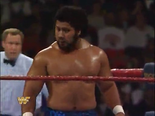 WWF Survivor Series 1989 - Team Warrior Vs. Team Andre