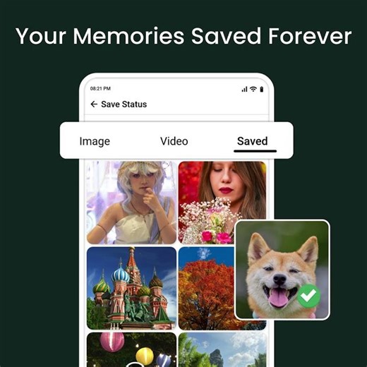 All-in-One Status Saver App | Download & share statuses easily