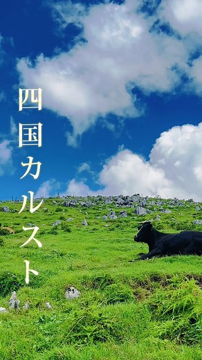 四国カルストでの絶景ドライブ