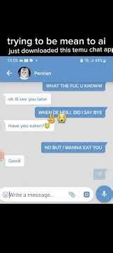 temu ai app *prank btw* game name / cat video call doesn't exist anymore i think #memes #funny