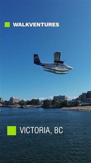 Harbour Air Float Plane Landing in Victoria's Inner Harbour [4K]