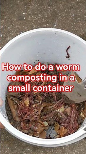 How to make a mini worm casting farm #wormfarm #wormcastings #vegetablegardening
